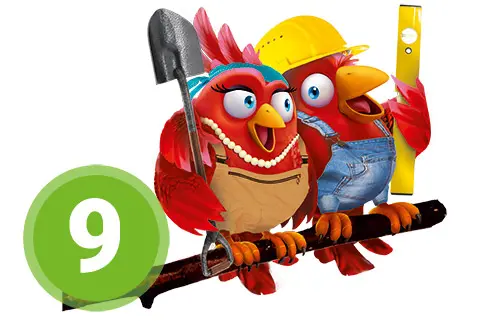 Schritt-9-Baubeginn Nestexperten Schritt 9