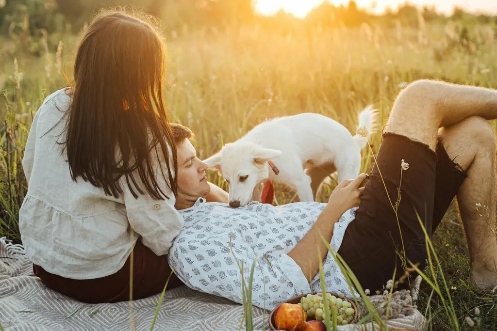 Haus-Familie-Wohnen-Garten-Land-Serie-31-09