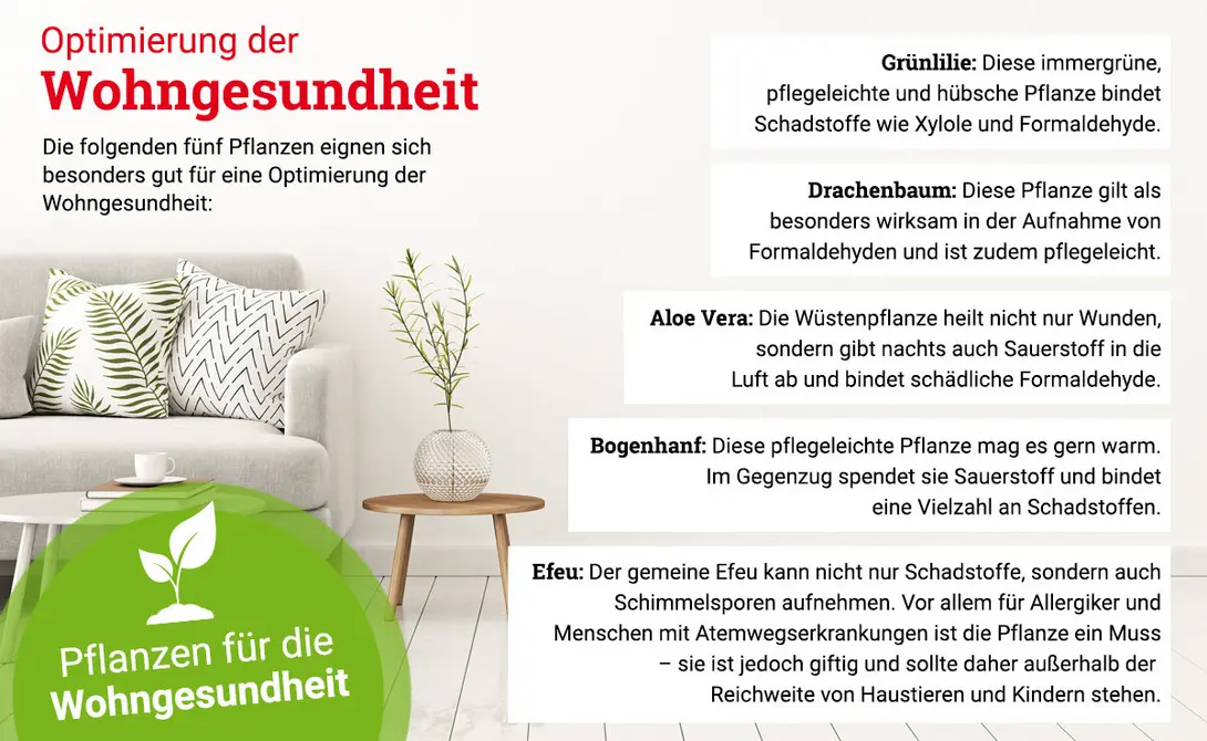 Infografik-Wohngesundheit-Pflanzen